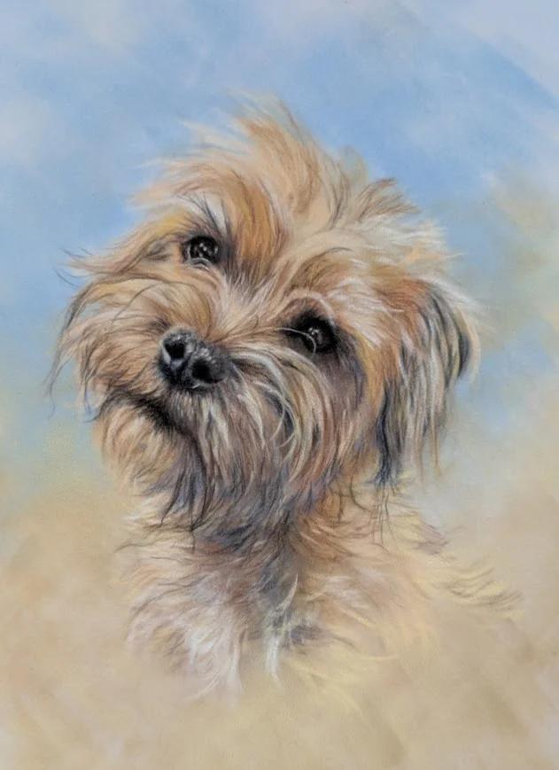 Pet portrait