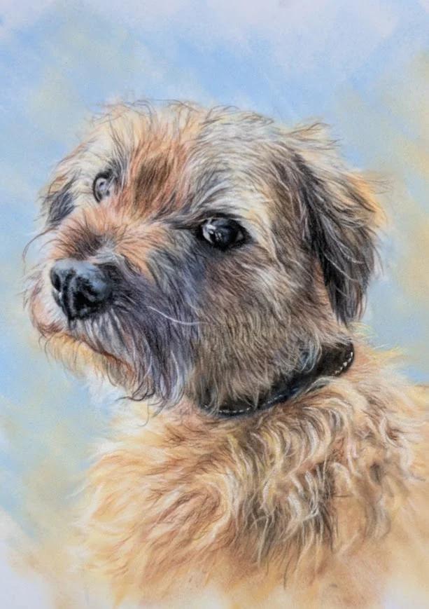 Pet Portrait