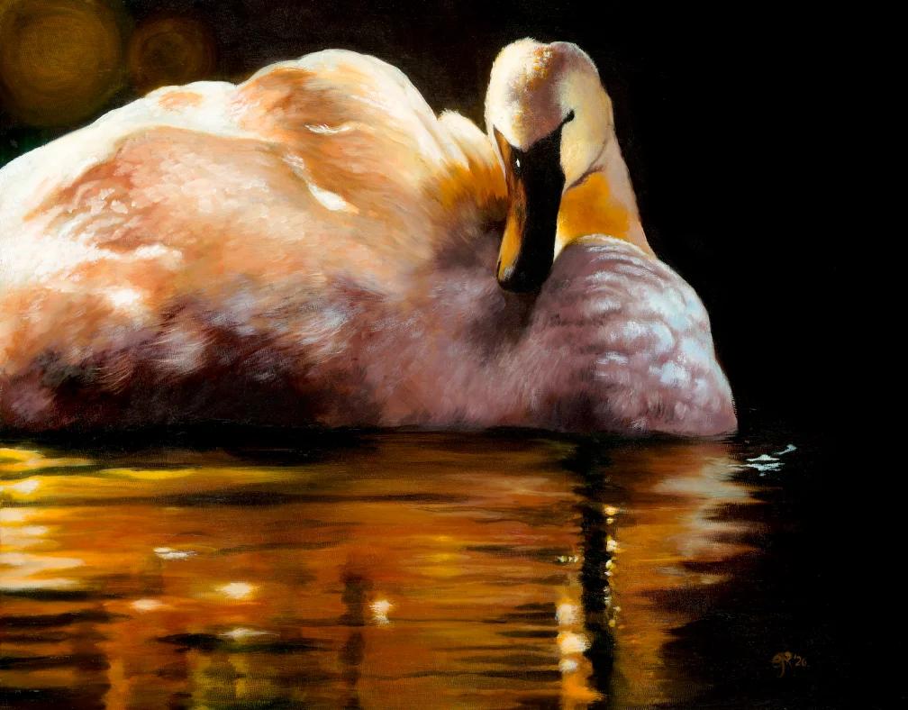 Swan
