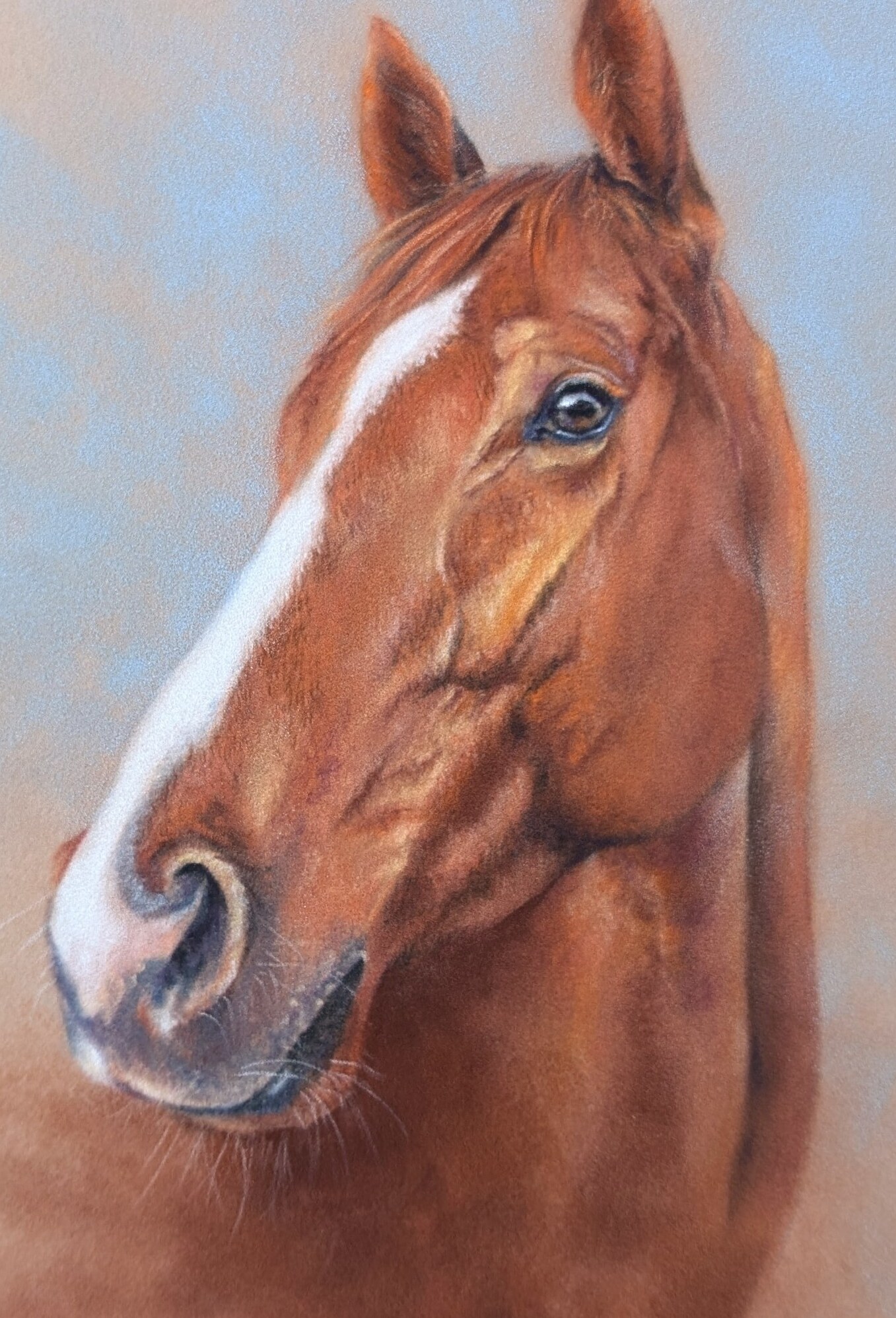 gallery-cover-horses-two